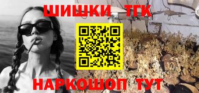 мдпв Жуковский