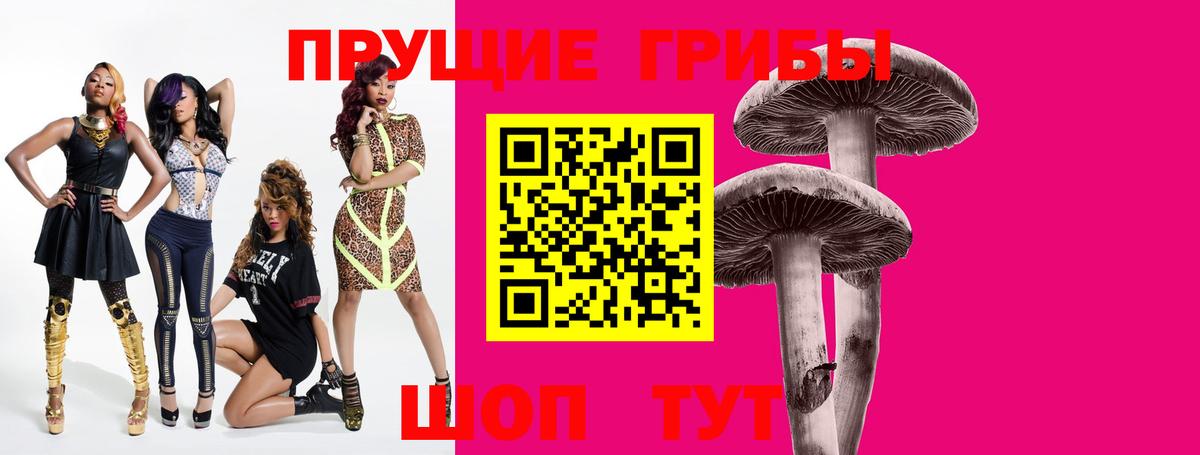 Галлюциногенные грибы Psilocybine cubensis  Вход с VPN  Ликино-Дулёво 